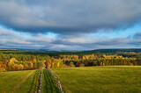 Fototapeta  - A road on a hill separating the pasture in autumn