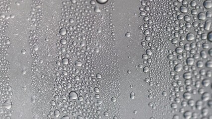 Poster - dripping transparent water droplets on glass