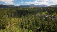 Dense Forest Near The Real Estate Houses In Port Alberni, BC, Canada. - Aerial
