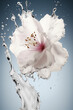© MxCaptures - Laser-Sharp Flower Photography: Capturing Beauty in High-Definition - Generative ai