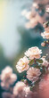 Blooming rose bush. Natural floral spring background. generative ai spring floral wallpaper. Soft selective focus on rose blossoms
