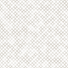 Vector Seamless Pattern. Modern Stylish Texture. Repeating Geometric Tiles. Monochrome Square Trellis. Trendy Graphic Design. Can Be Used As A Swatch For Illustrator.