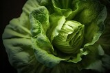 Fototapeta Tulipany - green lettuce on a dark background, cabbage, studio shot made by AI