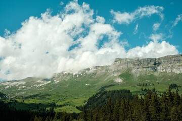 Wall Mural - Beautiful view of the Swiss mountains under a blue sky in summer in Flims town, Grisons