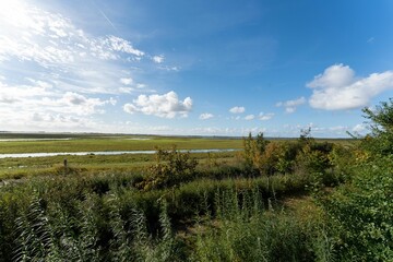 Wall Mural - Scenic view of a beautiful landscape with river and open fields found in Lauwersoog, Netherlands