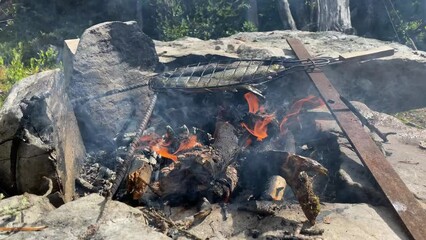 Poster - Closeup of grilling trout over an open fire