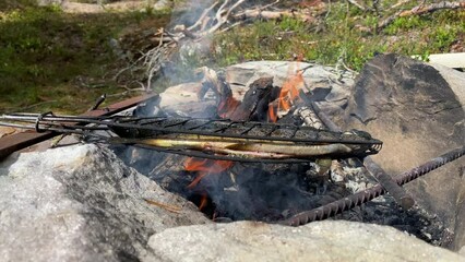 Poster - Closeup of grilling trout over an open fire