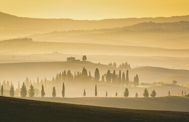 Wall Mural - beautiful landscape of val d'orcia at sunset with a yellow sky in the background, tuscany, italy