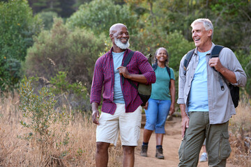 Group Of Senior Friends Enjoying Hiking Through Countryside Together