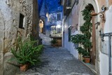Fototapeta Na drzwi - The italian village of Pietravairano.