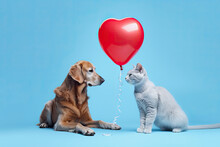 Generative Ai Illustration Of A Brown Dog And A Gray Cat, Heart Shaped Balloon In Between