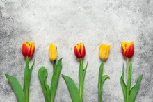 Red And Yellow Tulips In A Row On A Gray Grunge Background. Top View, Flat Lay, Banner.
