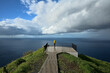 Eine Person steht auf einer Aussichtsplattform im grünen und schau auf das weite blaue Meer.