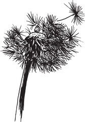 Wall Mural - Hand drawn sketch of a dandelion. Vector illustration.