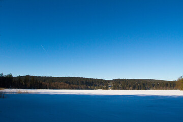 Wall Mural - Frozen pond in winter countryside.