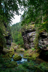 Wall Mural - Valley and river.