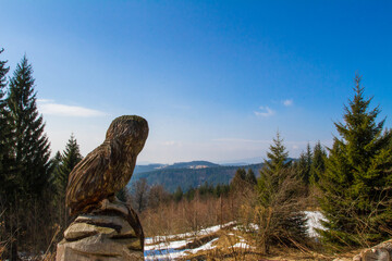 Wall Mural - Wooden owl with spring countryside.