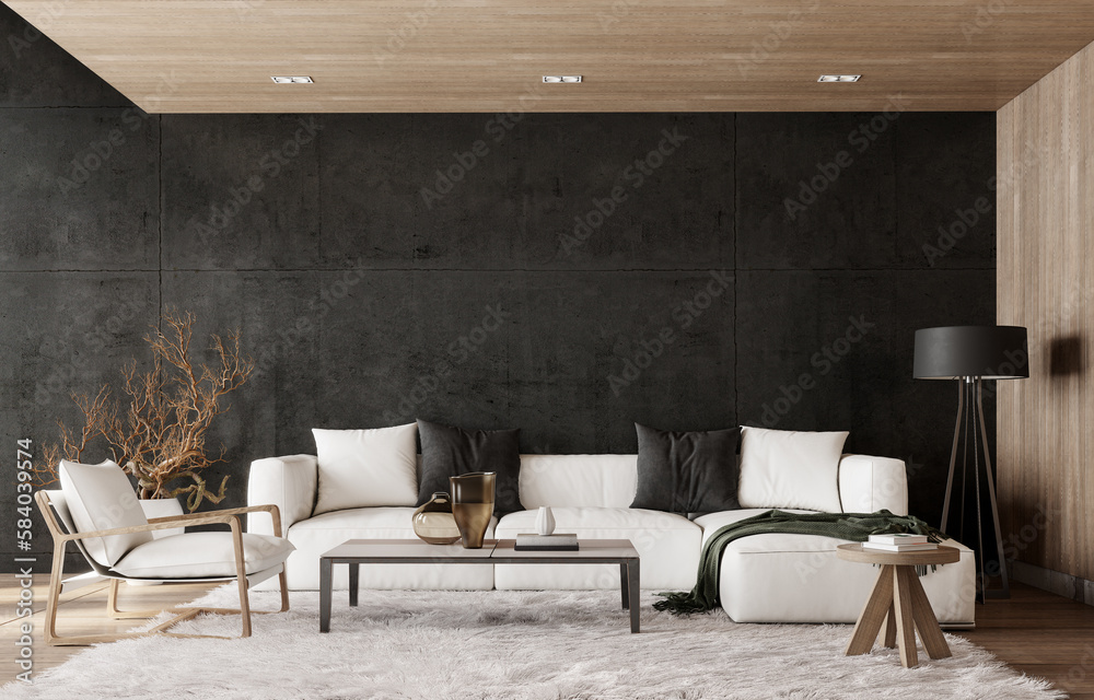 Modern interior design of living room with white sofa and empty black ...