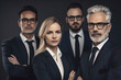 A group of male and female business people in suits posing for a group portrait for their firm, lawyers or highly professional people