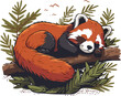 red panda sleeping cartoon illustration animal