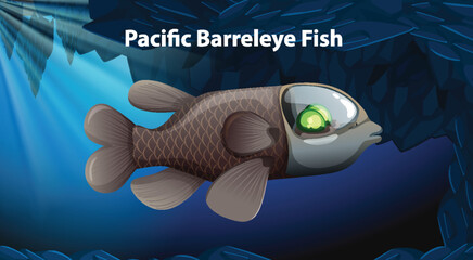 Wall Mural - Pacific Barreleye Fish Vector Design