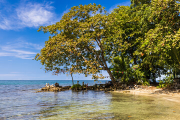 Canvas Print - tropical island