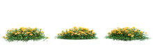 Flower Common Marigold On Transparent Background.3d Rendering PNG Set