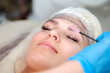 © danmorgan12 - Professional makeup and cosmetology skin care. Permanent make-up for eyebrows of beautiful woman with pink Round Brush in beauty salon While beautician tattooing eyebrow.