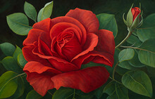 Vibrant Red Rose Blooming In Garden In Oil Paints Style Wallpaper