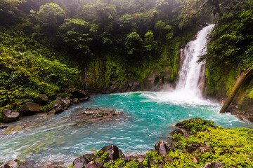 Canvas Print - waterfall in the forest