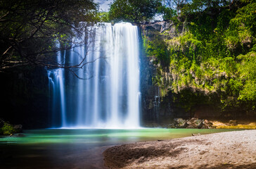 Canvas Print - waterfall in the forest