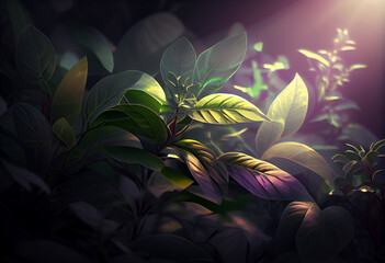 Aufkleber - Beautiful photo Rays concept, contemporary natural social background. Generative AI technology.
