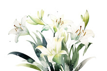 Bouquet Of Lilies, Watercolor. Generative Ai 
