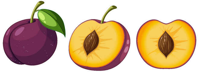 Wall Mural - set of plum fruit cartoon