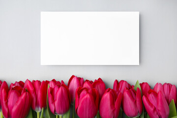 Wall Mural - Many beautiful tulips and blank card on light grey background, flat lay