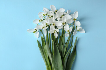 Wall Mural - Beautiful snowdrops on light blue background, flat lay