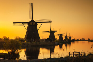 Wall Mural - Morning among the windmills in Kinderdijk - one of the most characteristic places in the Netherlands. The beautiful spring adds charm to this place.