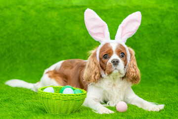 Aufkleber - Puppy wearing easter rabbits ears lying with basket of painted eggs on green grass
