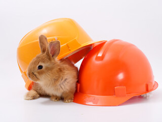 builder's day, symbol of the year easter bunny in a construction helmet on a white background