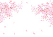 桜の木と花びら舞い散る春のイメージ白バックイラスト素材