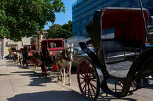 Horse-drawn Carriage Ride: A Charming And Authentic Way To Explore Havana