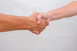 Close-up: Male and female handshake.