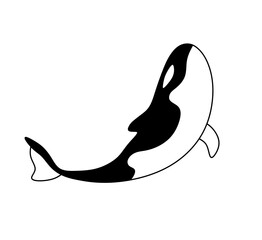 Wall Mural - Vector isolated one single killer whale swimming up  colorless black and white contour line easy drawing