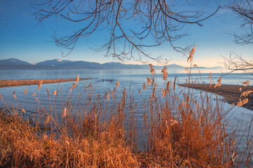 Wall Mural - vue sur le lac Léman depuis la plage de Tolochenaz