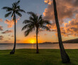 Breathtaking view of coconut trees on the Maunalua Bay Beach on sunset sky background in Hawaii, USA
