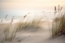  A Blurry Photo Of A Beach With Grass Blowing In The Wind And The Ocean In The Background With A Blurry Sky In The Foreground.  Generative Ai