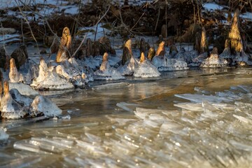 Landscape view with a frozen river and sunlit tree trunks around, blurred background