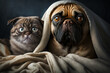 Cat and dog are under blanket with blanket on them. Generative AI.