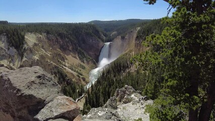 Wall Mural - Heavy Wind Blows Trees Over Upper Yellowstone Falls in Summer