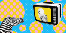 Contemporary Digital Collage Art. Modern Trippy Design. Zebra Tv Retro News